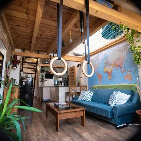 Treehouse Szeged