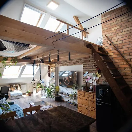 Treehouse Szeged
