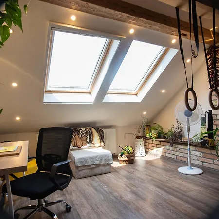Treehouse Szeged