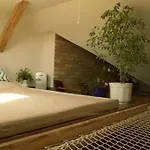 Treehouse Lejlighed *