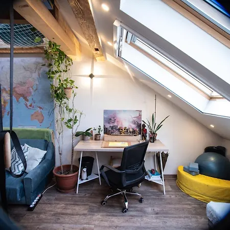 Treehouse * 세게드