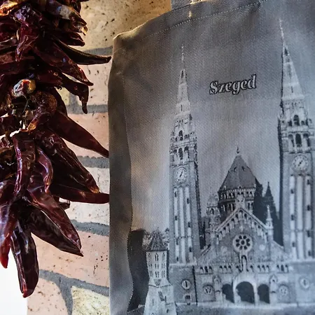 Treehouse 아파트 세게드