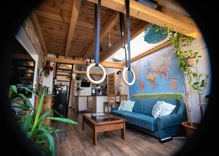 Treehouse Szeged