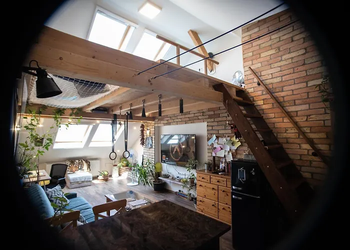 Treehouse Szeged